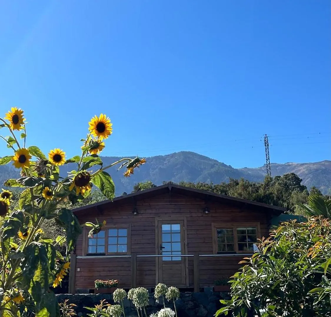 Casita Los Girasoles Santa Cruz de Tenerife 0*,  Spain